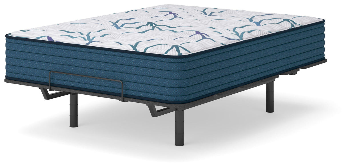 Limited Edition Firm 3.0 Mattresses