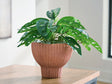 Furniture City Biloxi - Ashley Furniture - Orban Vase - Vase - A2000886