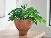 Furniture City Biloxi - Ashley Furniture - Orban Vase - Vase - A2000886