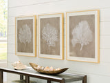 Furniture City Biloxi - Ashley Furniture - Hendridge Wall Decor - Wall Art Set (3/CN) / Taupe/White - A8000486
