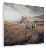 Furniture City Biloxi - Ashley Furniture - Errolville Wall Decor - Wall Art / Multi - A8000489