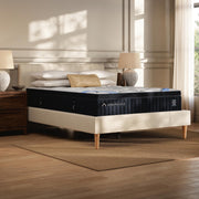 Furniture City Biloxi - Ashley Furniture - Dreamcloud Premier Memory Foam Mattresses - Queen - M12131