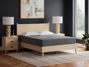 Furniture City Biloxi - Ashley Furniture - 13 Inch Hybrid Hot Buy Mattresses - California King / Multi - M20751