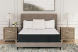 Furniture City Biloxi - Ashley Furniture - Limited Edition Plush Mattresses - Twin XL / White - M41171