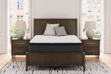 Furniture City Biloxi - Ashley Furniture - Limited Edition PT Mattresses - Queen / White - M41231