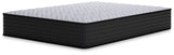 Anniversary Edition Firm Mattresses