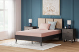 Furniture City Biloxi - Ashley Furniture - iKidz Coral Mattresses - Twin and Pillow 2/CN / Coral - M43111