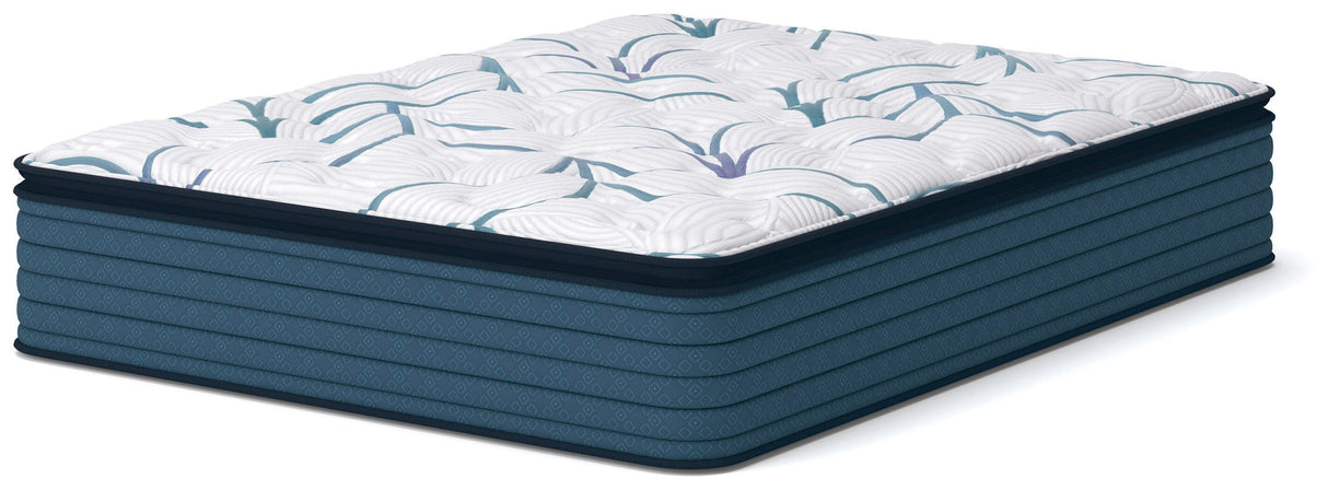 Limited Edition Plush PT 3.0 Mattresses