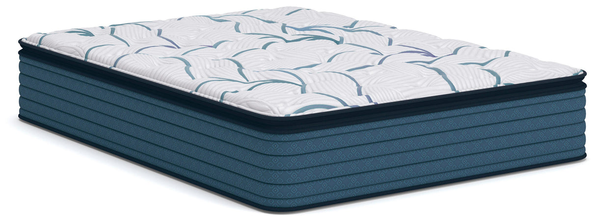 Furniture City Biloxi - Ashley Furniture - Limited Edition Plush PT 3.0 Mattresses - Queen - M45231