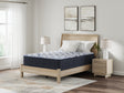 Furniture City Biloxi - Ashley Furniture - Firm Luxe 2.0 Mattresses - King / Blue - M49641