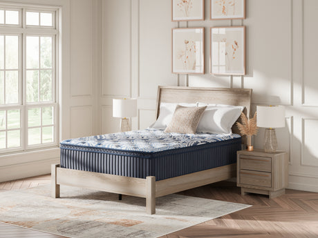 Furniture City Biloxi - Ashley Furniture - Plush Luxe 2.0 Mattresses - Queen / Blue - M49731