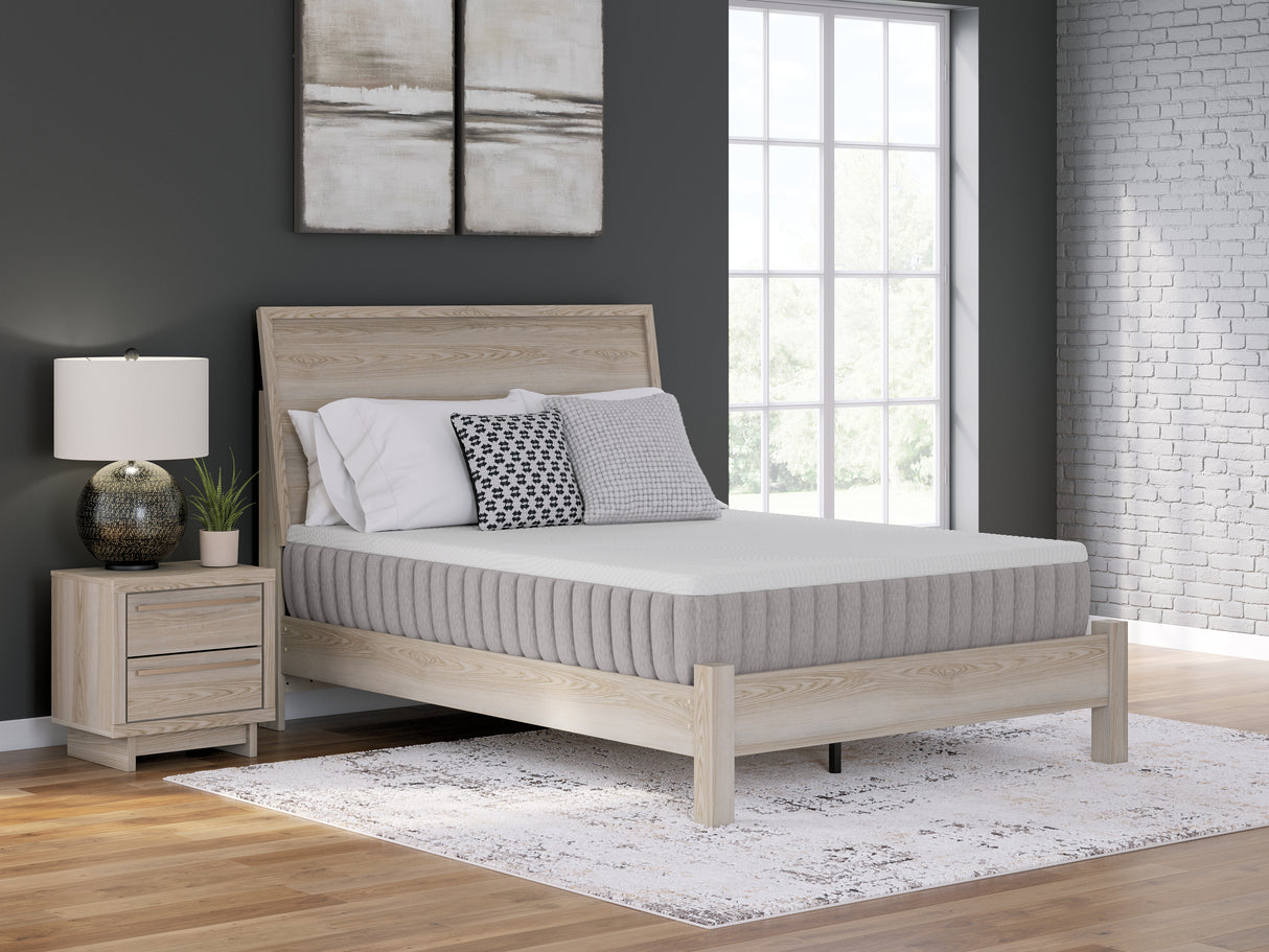 Furniture City Biloxi - Ashley Furniture - Terra Sleep Medium Mattresses - California King / White - M52351