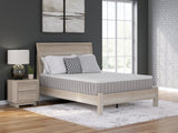 Furniture City Biloxi - Ashley Furniture - Terra Sleep Medium Mattresses - King / White - M52341