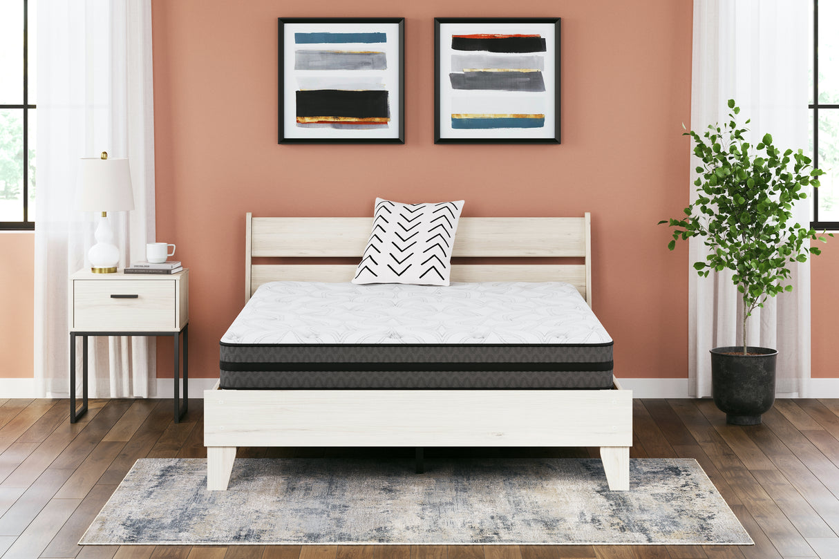 Furniture City Biloxi - Ashley Furniture - 10 Inch Pocketed Hybrid Mattresses - Twin / White - M58911