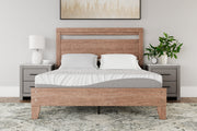 Furniture City Biloxi - Ashley Furniture - 8 Inch Memory Foam Mattresses - Queen / White - M59131