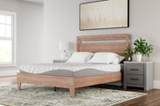 Furniture City Biloxi - Ashley Furniture - 10 Inch Memory Foam Mattresses - Queen / White - M59231