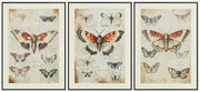 Jossletts Wall Decor